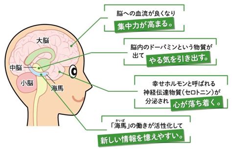 勉強も運動もできる 男子|運動も勉強も『脳』が決め手！